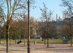 cmarzo3.jpg